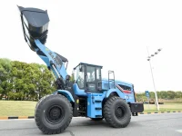 sany chargeuse électrique SW956E